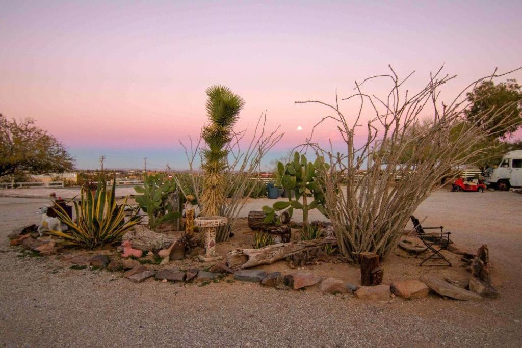 Joshua Tree Ranch House Motel - Downtown - Room #4 외부 사진