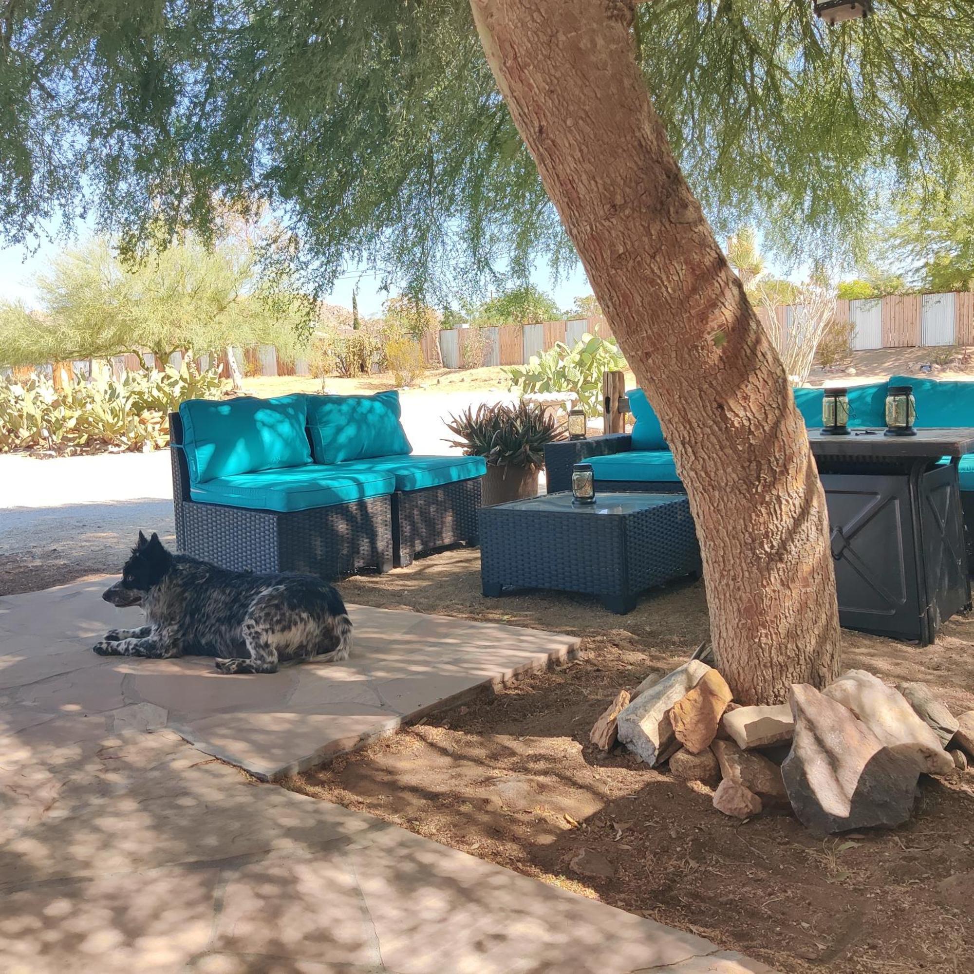 Joshua Tree Ranch House Motel - Downtown - Room #4 외부 사진